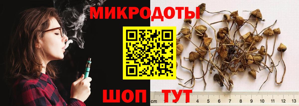 Михайловка  Галлюциногенные грибы мухоморы  Вход с VPN 