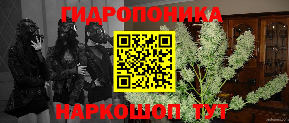 Бошки марихуана THC 21% Михайловка